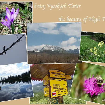 Apartamento Hágy L+l